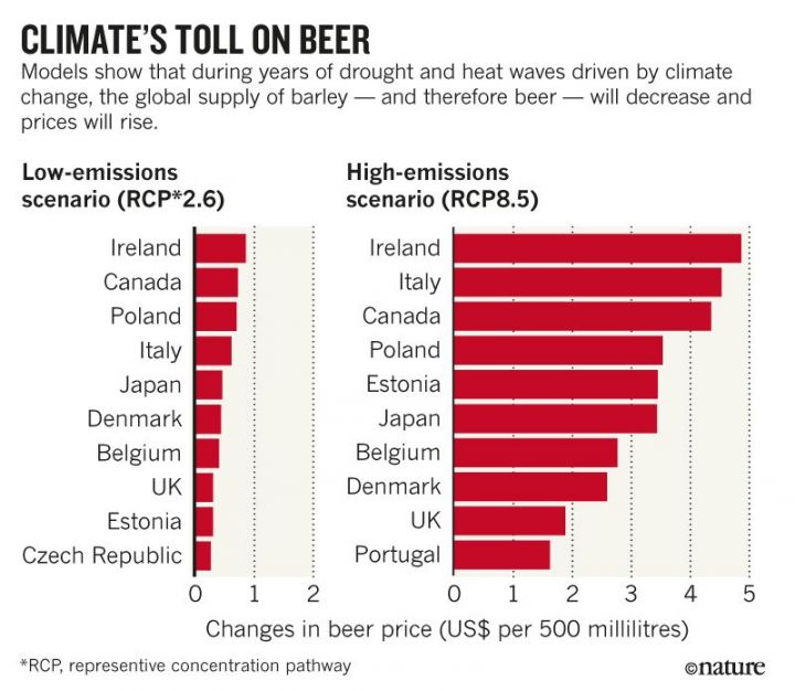 Profitez de votre bière, son prix va fortement augmenter en raison du  réchauffement climatique !