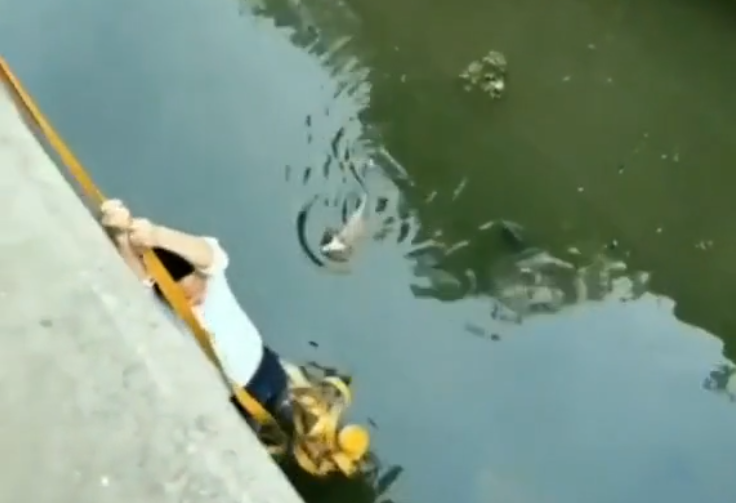 Cet Homme Courageux Sauve Un Chat Tombe Dans L Eau D Un Canal