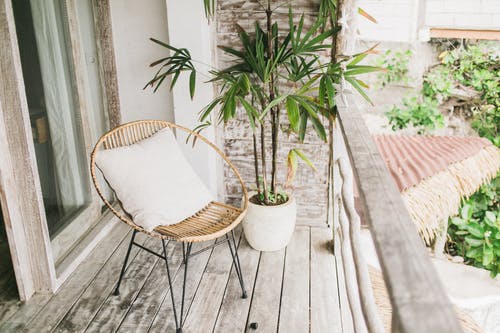 Quelles plantes pour mon balcon