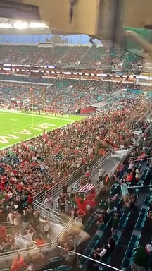 Un Chat Chute D Un Toit De Stade Et Est Recupere Par Des Fans Ayant Deploye Un Drapeau Pour Le Sauver Tuxboard