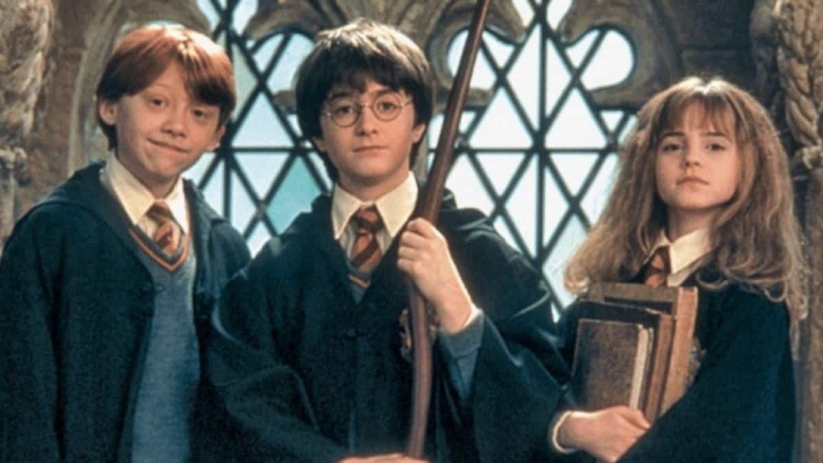 Harry Potter et la chambre des secrets : seul un vrai fan aura