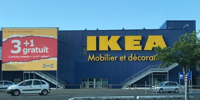 Ikea remplit votre maison de vie et d'oxygène avec cet indispensable du printemps à moins de 20 euros !