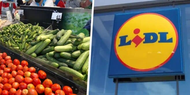 Scandale Lidl cette cliente se voit refuser l'achat de concombres pour une raison étrange !