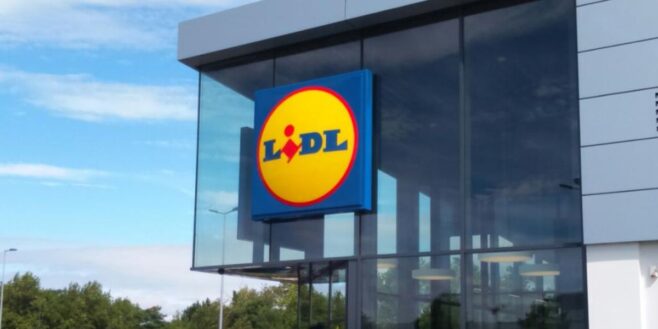 Cohue chez Lidl pour l'accessoire parfait pour pique-niquer cet été et avoir toujours ses aliments au frais !