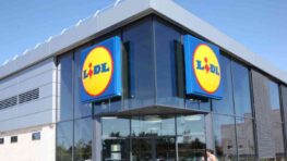 Lidl lance le produit indispensable pour tailler ses haies sans effort !