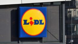 Lidl tient l'accessoire le plus polyvalent de l'été pour arriver à tout gonfler !