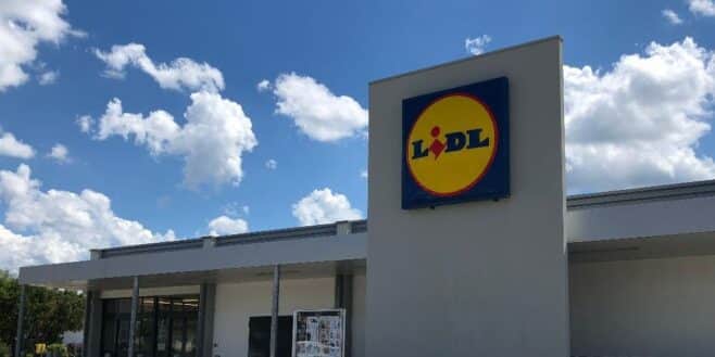 Cohue chez Lidl avec les meilleurs produits gonflables pour vous amuser cet été !