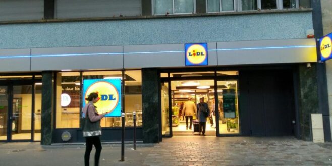 Lidl frappe fort avec les coussins parfaits pour bien se détendre à la maison !