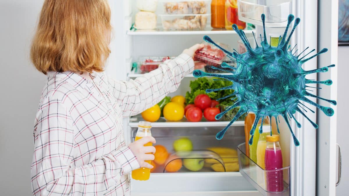 Réfrigérateur : quelques gestes simples pour préserver le frigo de