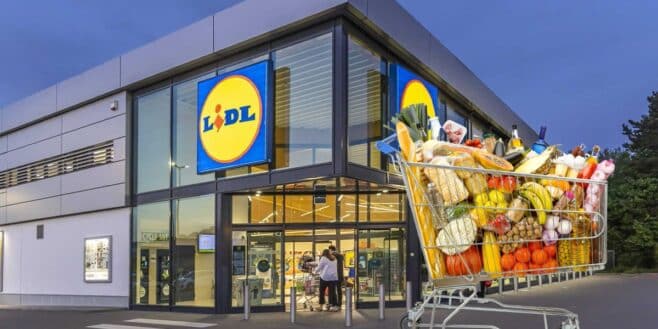 Elle fait 2000 euros de courses chez Lidl, le supermarché halluciné par cette terrible arnaque !