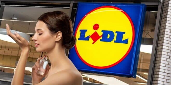 Lidl cartonne avec ses dupes de parfums de luxe à moins de 10 euros !