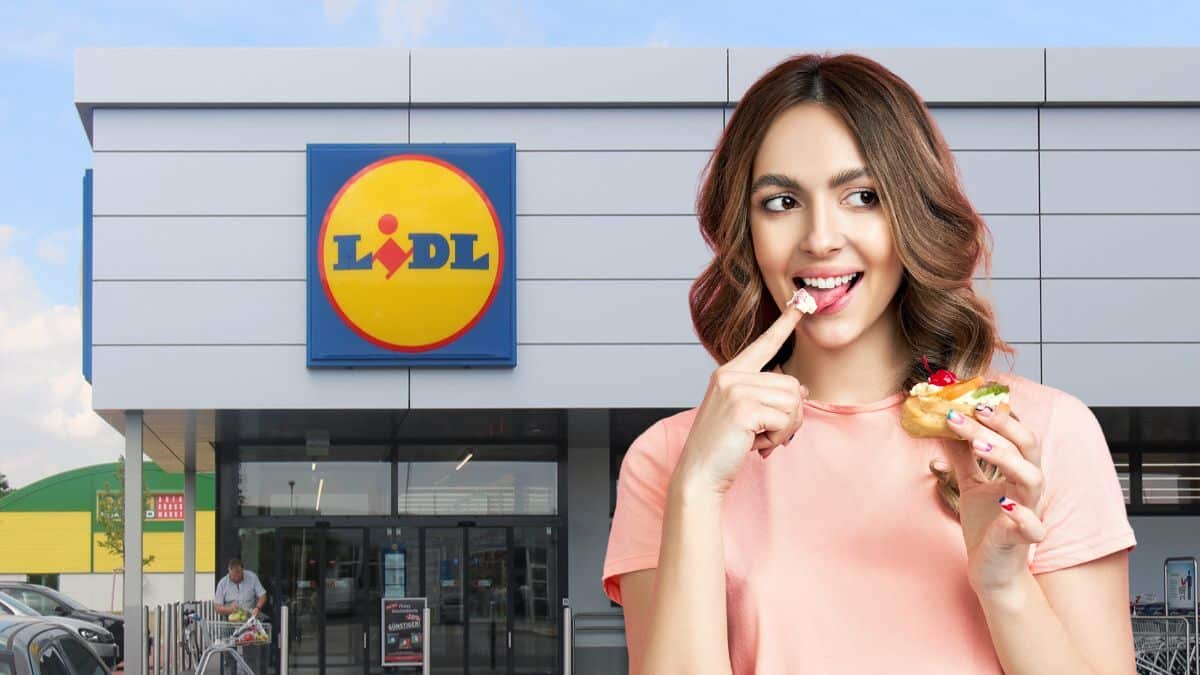 Lidl Frappe Fort Avec Ce Robot De Cuisine Pour Devenir Un Vrai Chef