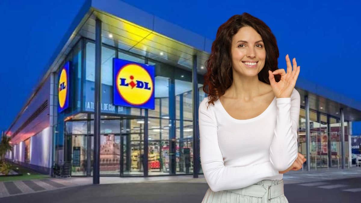 Lidl Frappe Fort Avec Cet Accessoire Révolutionnaire Pour Garder Tous ...