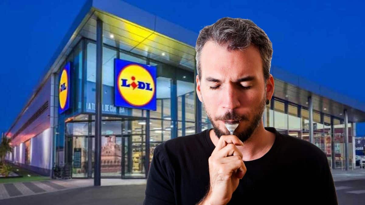 Lidl lance sa bûche de Noël à moins de 6 euros : pourquoi ce dessert bleu,  jaune