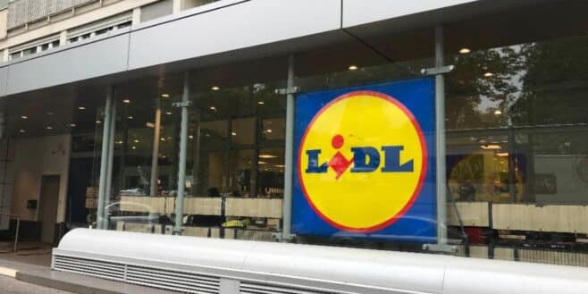 Lidl frappe fort avec cette poubelle écologique pour vous aider à recycler facilement !