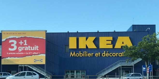 Ikea cartonne avec un porte manteau qui ressemble à un cactus du désert