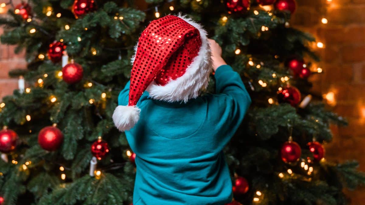 Le jour parfait pour acheter un beau sapin de Noël selon les