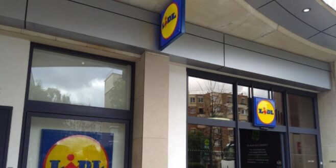 Lidl frappe fort avec sa cave à vin avec porte vitrée et étagères coulissantes