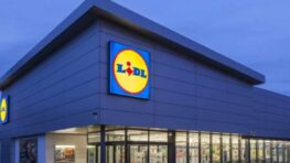 Lidl refuse de prendre vos tickets restaurant pour payer vos courses et voici pourquoi