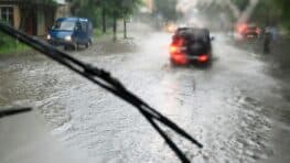 Cet aliment que tout le monde adore va vous aider à conduire sous la pluie