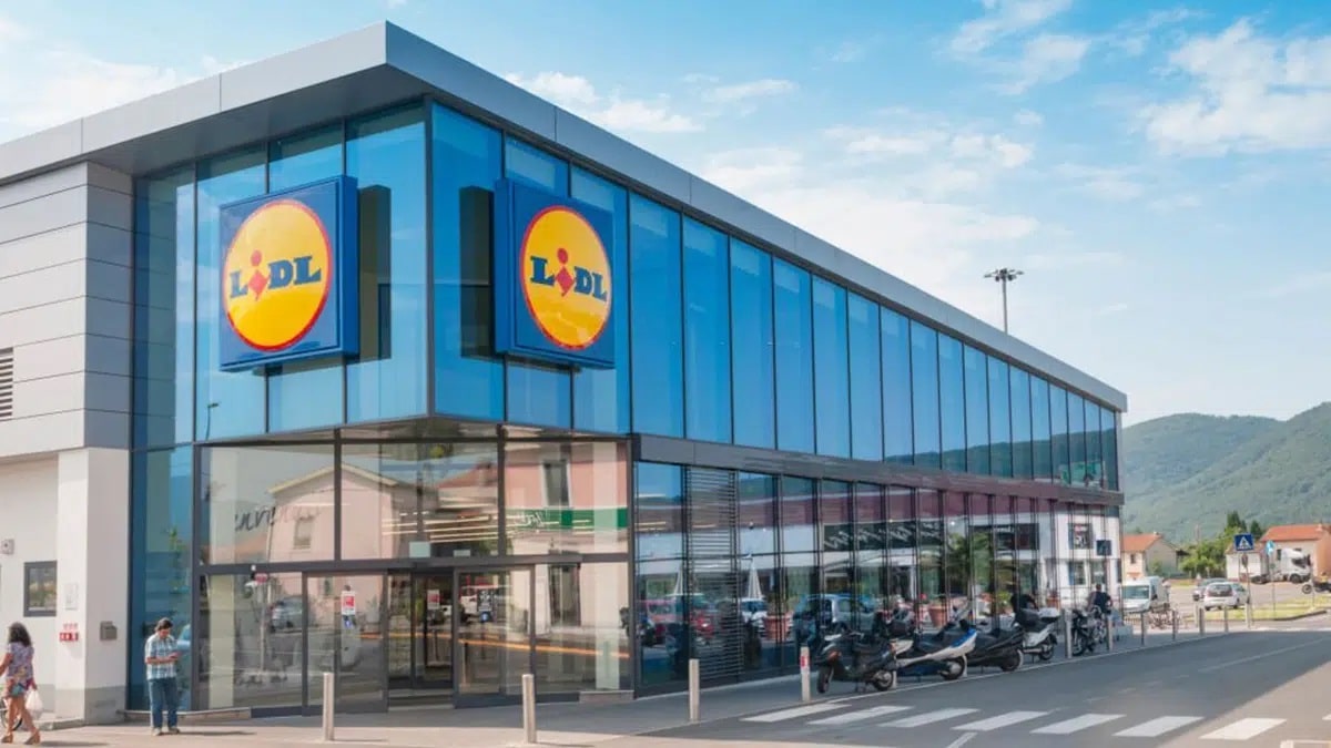 Lidl discount collant femme