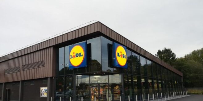 Lidl lance une couverture chauffante très efficace qui élimine le mal de dos