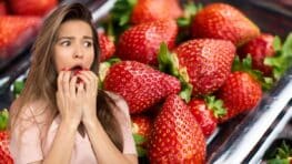 Lidl elle fait une découverte horrible dans sa barquette de fraises