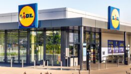 Lidl vous transforme en chef cuisinier avec son four électrique avec grill