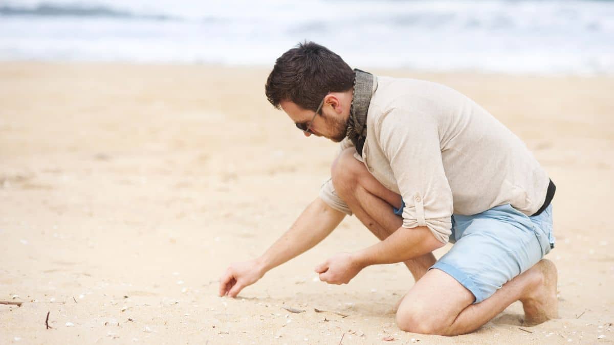 Ne Ramassez Plus Les Coquillages Sur La Plage Vous Risquez Une Grosse Amende Tuxboard