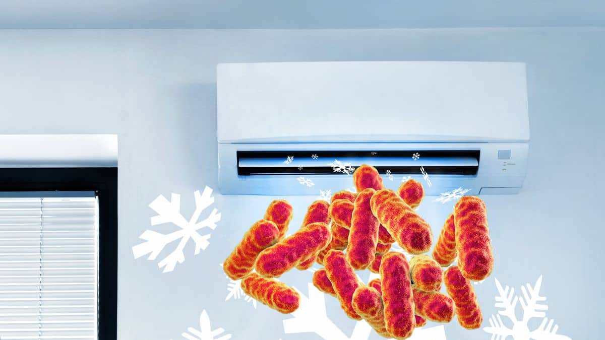 Deze gevaarlijke bacteriën in airconditioners veroorzaken ernstige ziekten