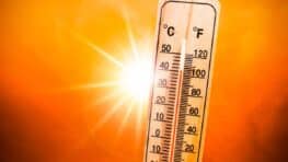 Météo: les terribles prévisions pour cet été, il va y avoir des records de températures