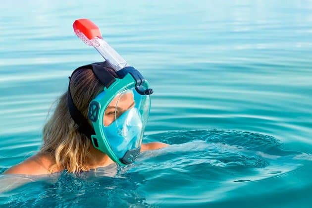 Lidl lance son masque de plongée pour partir à la découverte des poissons tout l'été