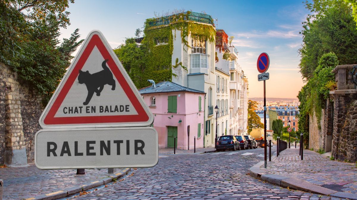 Ce panneau avec un chat dessus rend fou tous les conducteurs