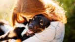 Elle veut faire euthanasier son chien malade et le retrouve sur un site d'adoption