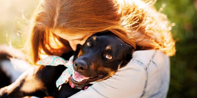 Elle veut faire euthanasier son chien malade et le retrouve sur un site d'adoption