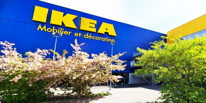 Le barbecue le plus vendu chez Ikea peut se transporter partout
