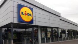 Le transat Lidl que l'on peut emmener partout pour moins de 20 euros