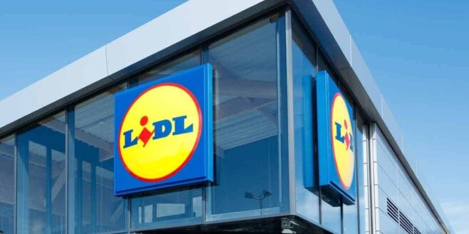 Lidl a une lampe super puissante qui tue les moustiques instantanément