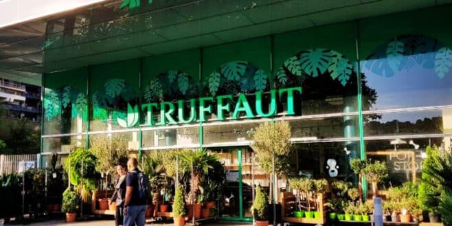 Truffaut: la mauvaise nouvelle est confirmée ce célèbre magasin à Paris ferme ses portes