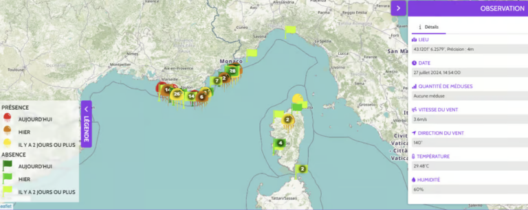 Cette carte dévoile la forte présence des méduses en France