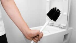 Éliminer toutes les bactéries de la brosse des toilettes avec 1 seul ingrédient