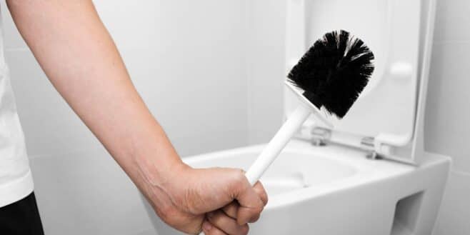 Éliminer toutes les bactéries de la brosse des toilettes avec 1 seul ingrédient