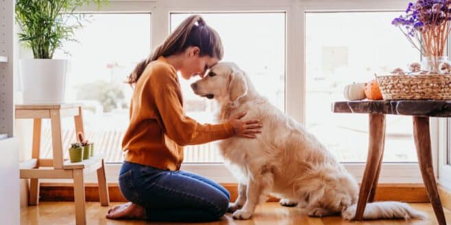 Elle reçoit une amende de 750 euros à cause de son chien