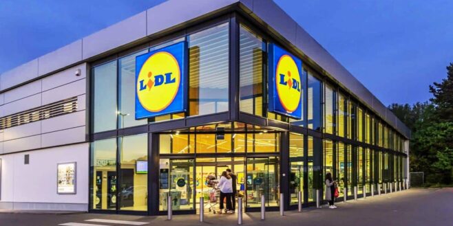 LIDL a le produit pour ne plus avoir de moustiques cet été