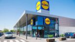 LIDL relance les célèbres sneakers que tout le monde veut avoir