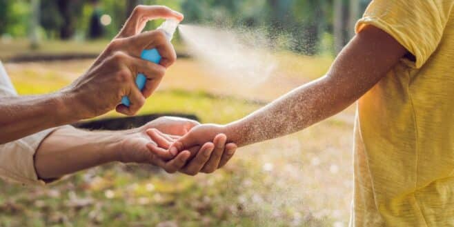 Ne mettez plus ces anti-moustiques ils sont dangereux