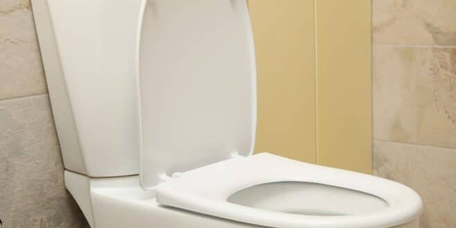 Nettoyer les taches des toilettes pour les rendre comme neuf