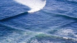 Si vous voyez ces vagues carrées à la plage, sortez vite de l'eau