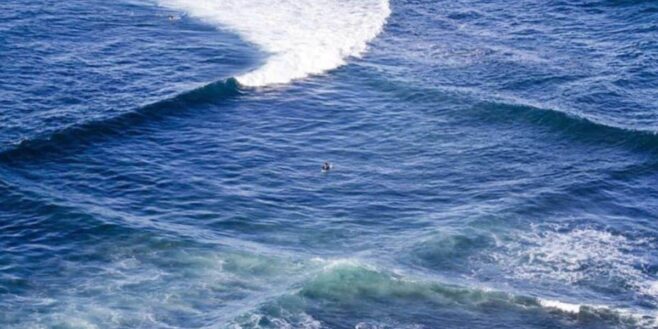 Si vous voyez ces vagues carrées à la plage, sortez vite de l'eau