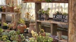 Ces magasins de jardinage ferment et font un gros déstockage